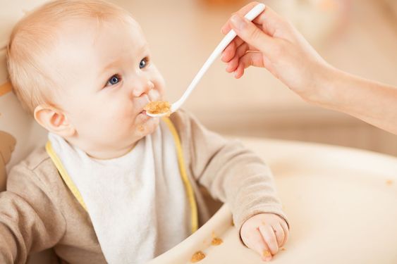 готовність до прикорму