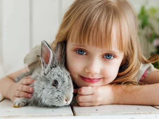 дівчинка з кроликом