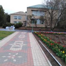 Колосок